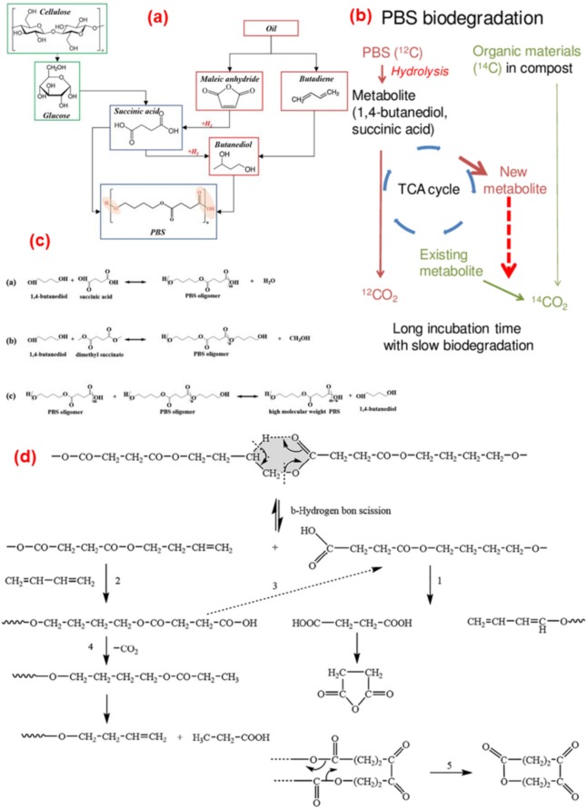 © https://doi.org/10.1016/j.pmatsci.2024.101336